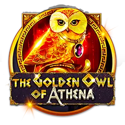 win ph app how much of your bankroll should you bet